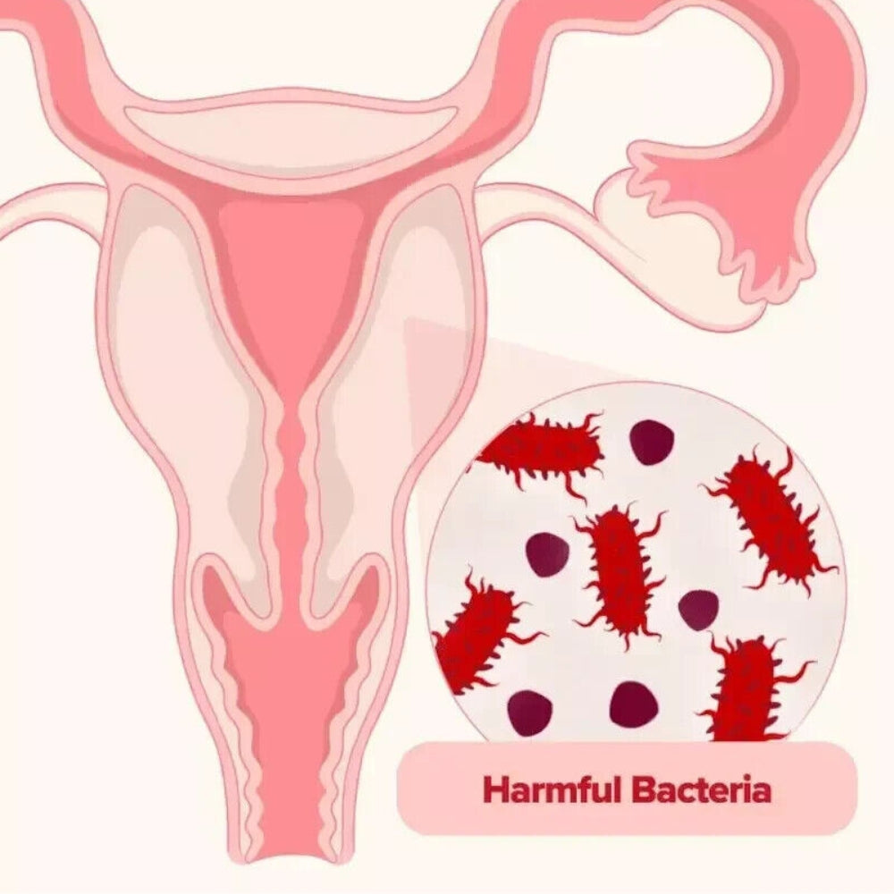 Cápsulas URO Probiotico - Tu bienestar comienza desde adentro - OFERTA 2x1